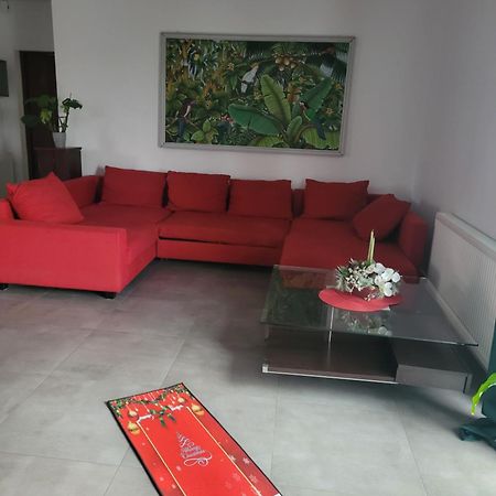 Apartament Na Warszawskiej غوجوف فييلكوبولسكي المظهر الخارجي الصورة